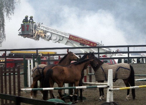 Photo by Frank Becerra Jr. / The Journal News